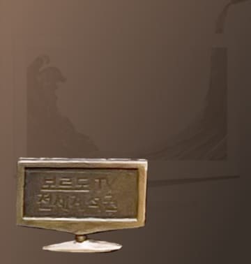 A relief and background photo of the Bordeaux TV which dominated the global No. 1 television position.