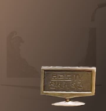 A relief and background photo of the Bordeaux TV which dominated the global No. 1 television position.